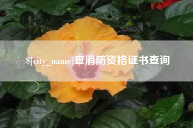 磐石查消防资格证书查询