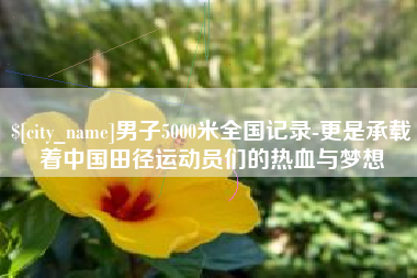 磐石男子5000米全国记录-更是承载着中国田径运动员们的热血与梦想
