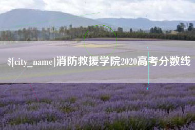 磐石消防救援学院2020高考分数线