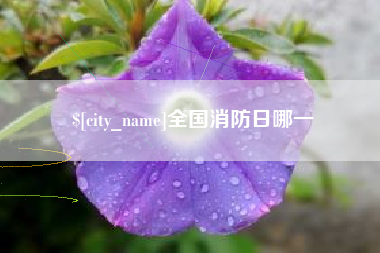 磐石全国消防日哪一