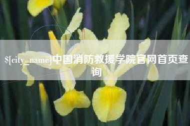 磐石中国消防救援学院官网首页查询