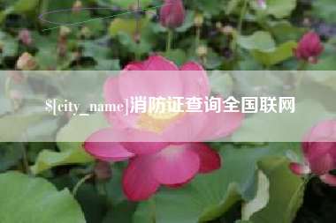 磐石消防证查询全国联网