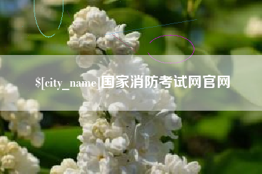 磐石国家消防考试网官网