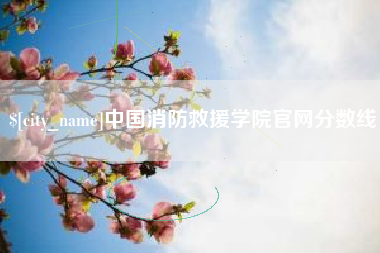 磐石中国消防救援学院官网分数线