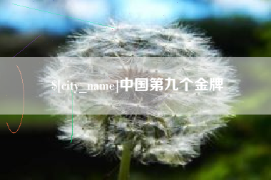 磐石中国第九个金牌