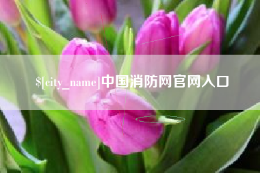 磐石中国消防网官网入口