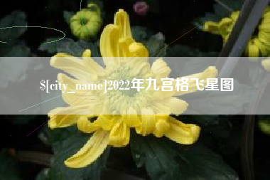 磐石2022年九宫格飞星图