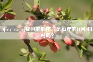 磐石我国的消防日是每年的11月9日对吗？
