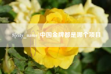 磐石中国金牌都是哪个项目