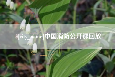 磐石中国消防公开课回放