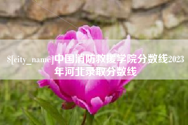 磐石中国消防救援学院分数线2023年河北录取分数线