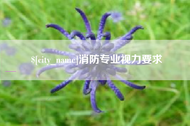 磐石消防专业视力要求