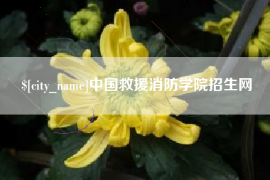 磐石中国救援消防学院招生网