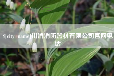 磐石川消消防器材有限公司官网电话