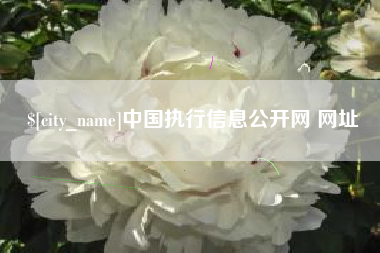 磐石中国执行信息公开网 网址