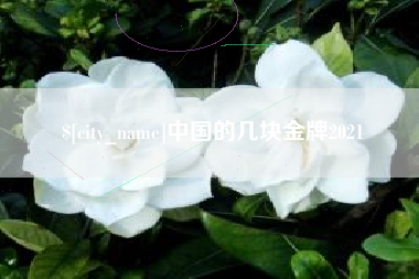 磐石中国的几块金牌2021