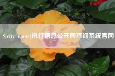 磐石执行信息公开网查询系统官网