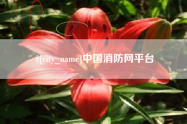 磐石中国消防网平台