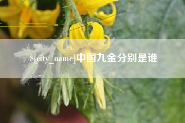 磐石中国九金分别是谁