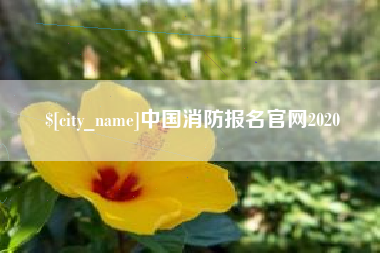 磐石中国消防报名官网2020