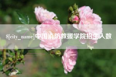 磐石中国消防救援学院招生人数