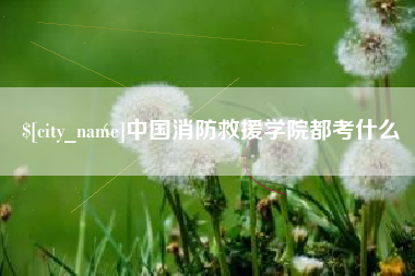 磐石中国消防救援学院都考什么