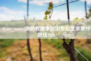 磐石消防救援学院山东招生录取分数线2020