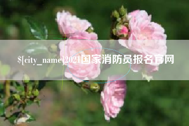 磐石2021国家消防员报名官网