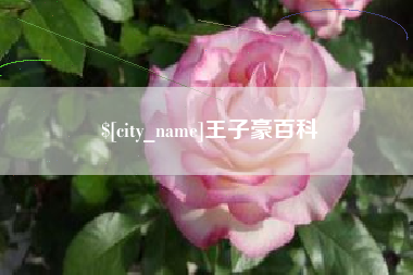 磐石王子豪百科