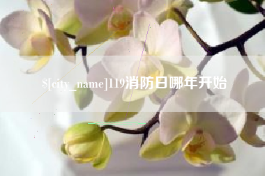磐石119消防日哪年开始