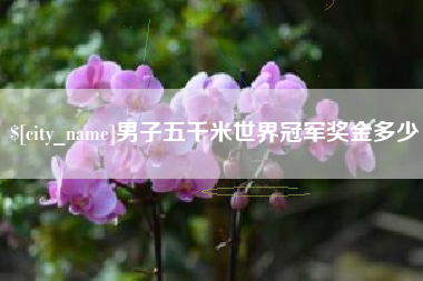 磐石男子五千米世界冠军奖金多少