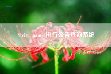 磐石执行公告查询系统