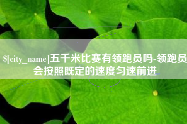 磐石五千米比赛有领跑员吗-领跑员会按照既定的速度匀速前进