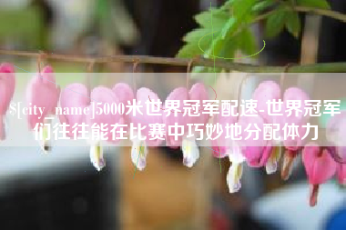 磐石5000米世界冠军配速-世界冠军们往往能在比赛中巧妙地分配体力