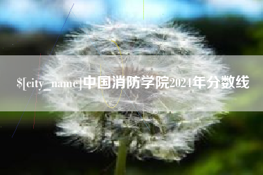 磐石中国消防学院2024年分数线