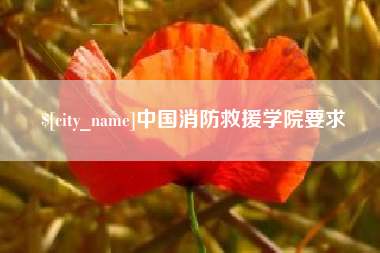 磐石中国消防救援学院要求