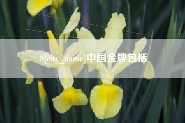磐石中国金牌包括
