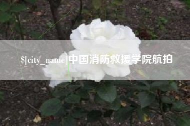 磐石中国消防救援学院航拍
