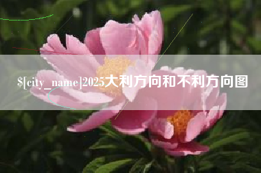 磐石2025大利方向和不利方向图