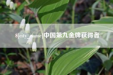磐石中国第九金牌获得者