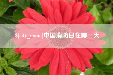 磐石中国消防日在哪一天