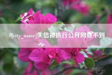 磐石失信被执行公开网查不到
