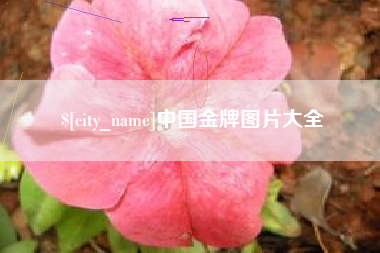 磐石中国金牌图片大全