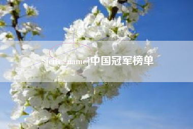 磐石中国冠军榜单