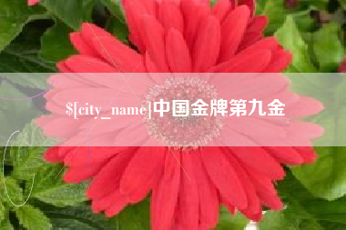 磐石中国金牌第九金