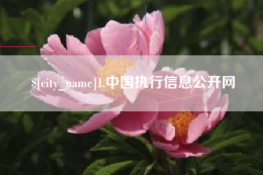 磐石1.中国执行信息公开网
