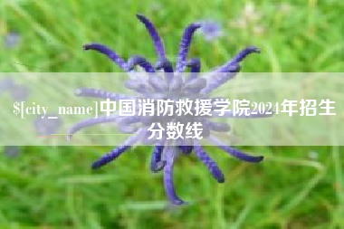 磐石中国消防救援学院2024年招生分数线