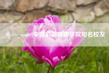 磐石中国消防救援学院知名校友