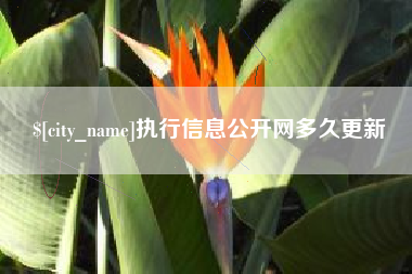 磐石执行信息公开网多久更新