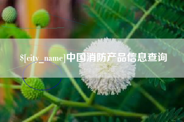 磐石中国消防产品信息查询